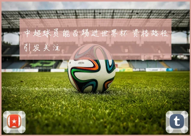 中超球员能否踢进世界杯 资格路径引发关注