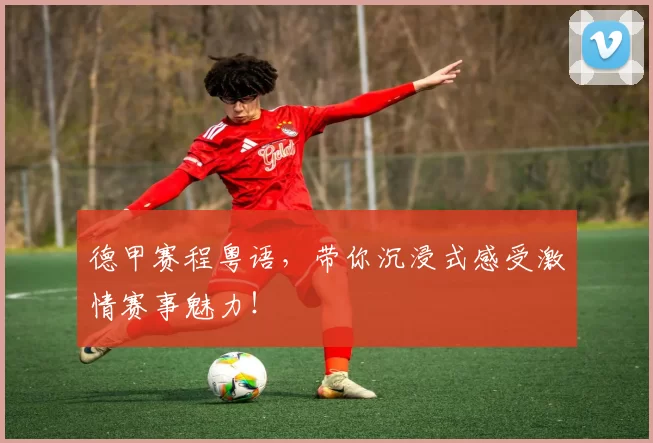 德甲赛程粤语,带你沉浸式感受激情赛事魅力!