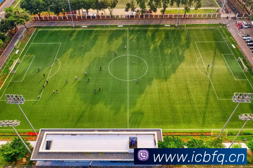 多媒体互动体验